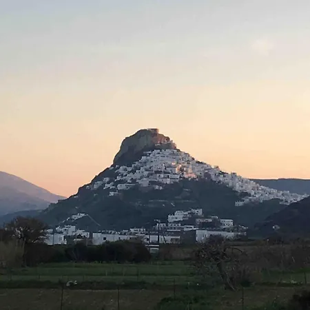 Amerissas 3 * Skyros